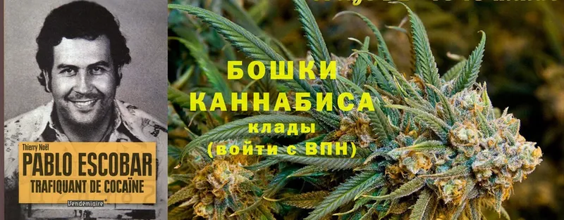 Шишки марихуана THC 21%  даркнет телеграм  Болгар 